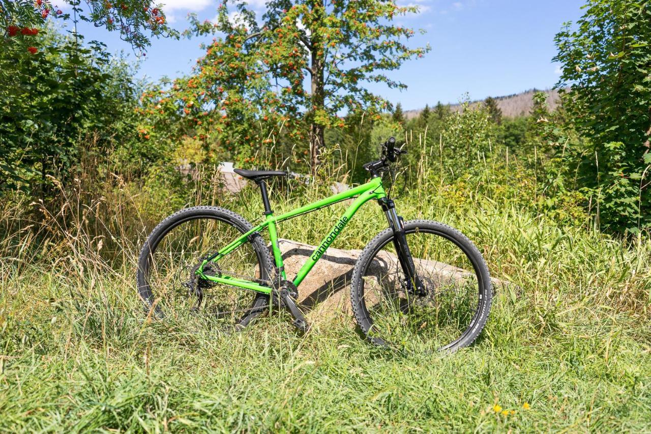 Ferienanlage Zum Wildbach Schierke Luaran gambar