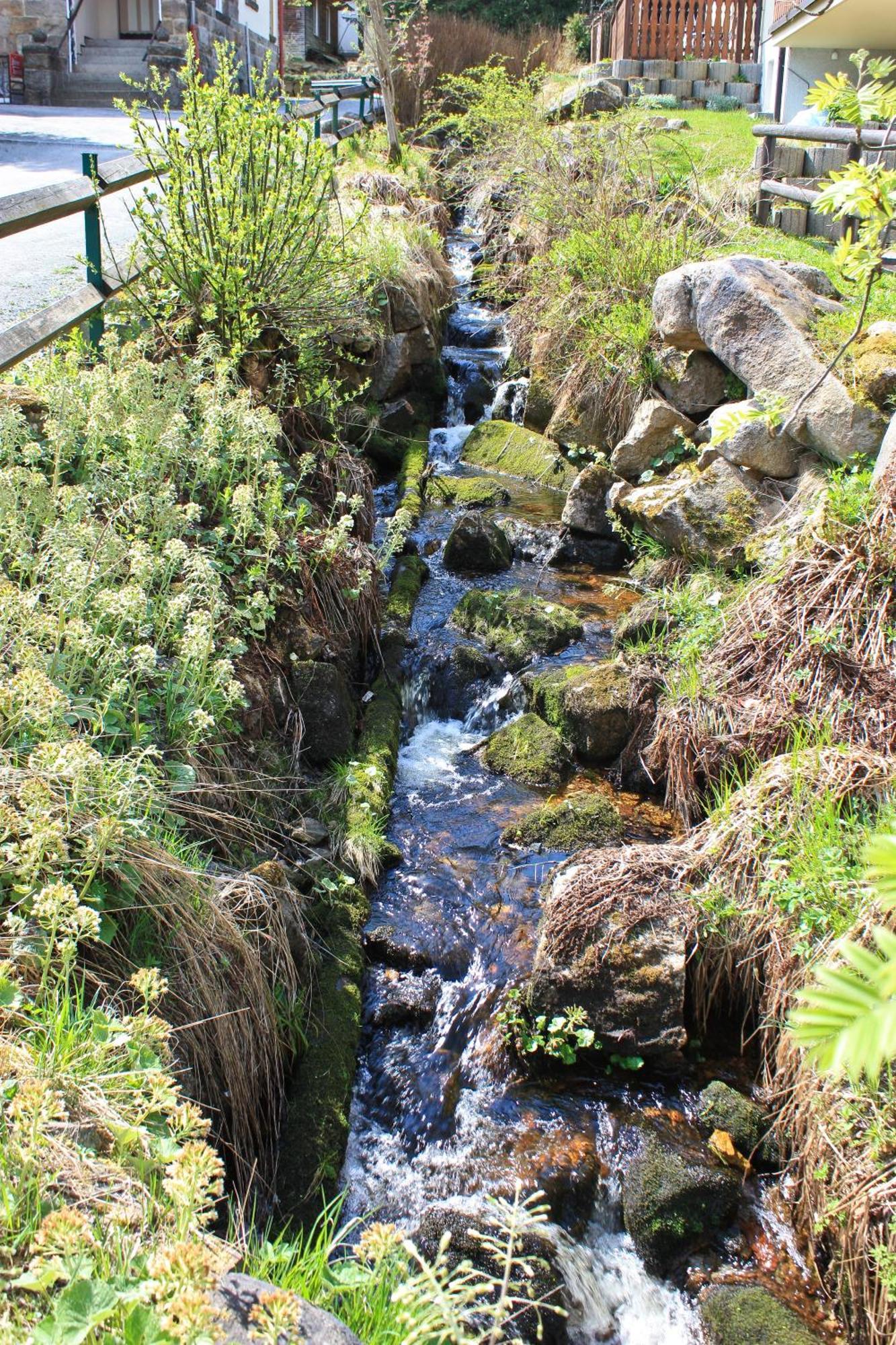Ferienanlage Zum Wildbach Schierke Luaran gambar